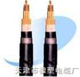 RVZ與RVZ電力電纜 規格、特點與應用全解析